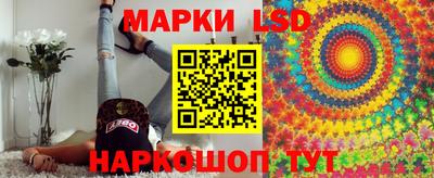 mdpv Белореченск