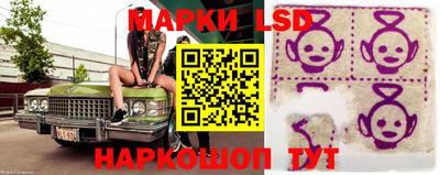 mdpv Белореченск