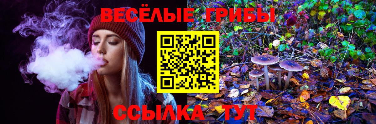 Псилоцибиновые грибы GOLDEN TEACHER Маркс
